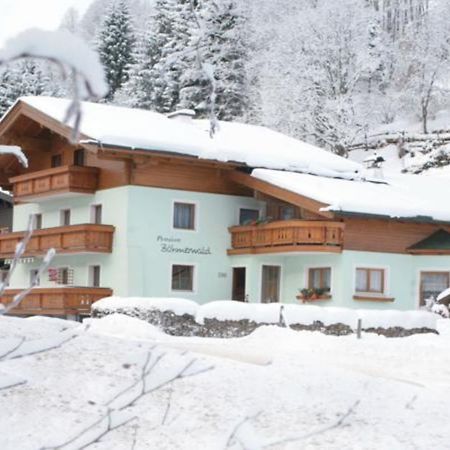 Boehmerwald Hotel Saalbach-Hinterglemm Luaran gambar